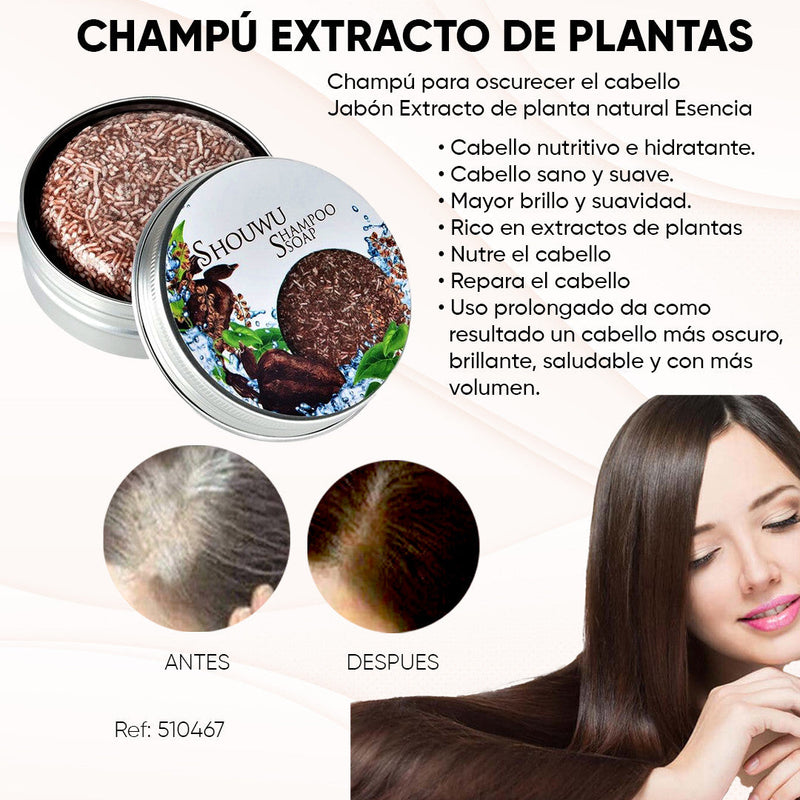 Champú para oscurecer el cabello - Orgánico y Natural